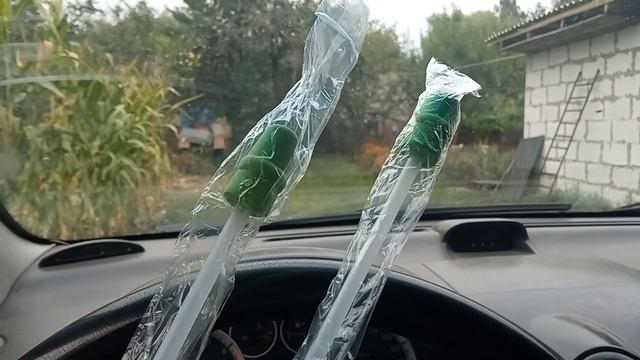 Будут мясники. Трехпородный гибрид свиней. Ф-ки пришли в охоту. Откорм свиней. Свиноводство. смотреть онлайн