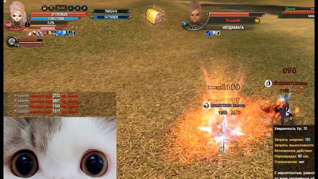 Perfect world, pvp Гайд по друиду часть1. Интервью смотреть онлайн