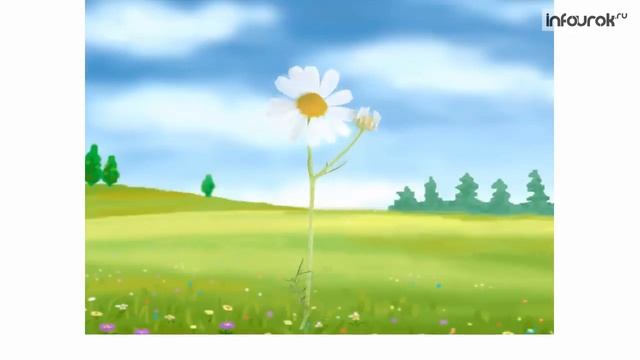 Глагол как часть речи Изменение глаголов по числам Русский язык 3 класс #21 Инфоурок 1 смотреть онлайн