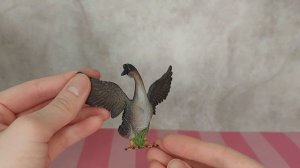 Реалистичные фигурки ПТИЦ. Schleich, papo, safari ltd, mojo, AliExpress, collecta.