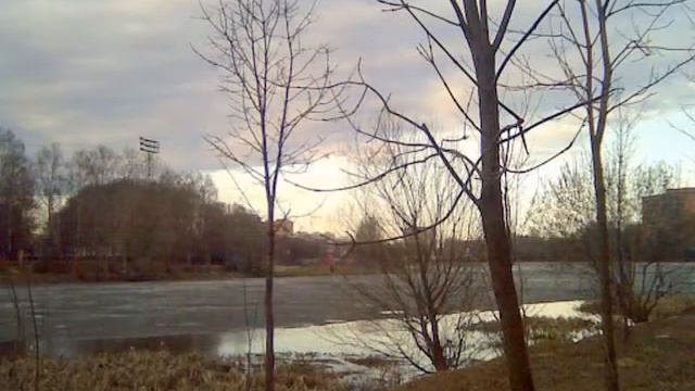 Большой садовый пруд в Петровско-Разумовском смотреть онлайн