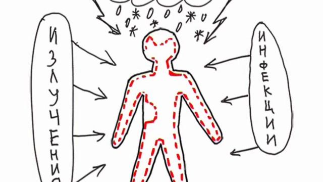 13_2. Для чего всем нам нужно заниматься ТАЙЦЗИЦЮАНЬ смотреть онлайн
