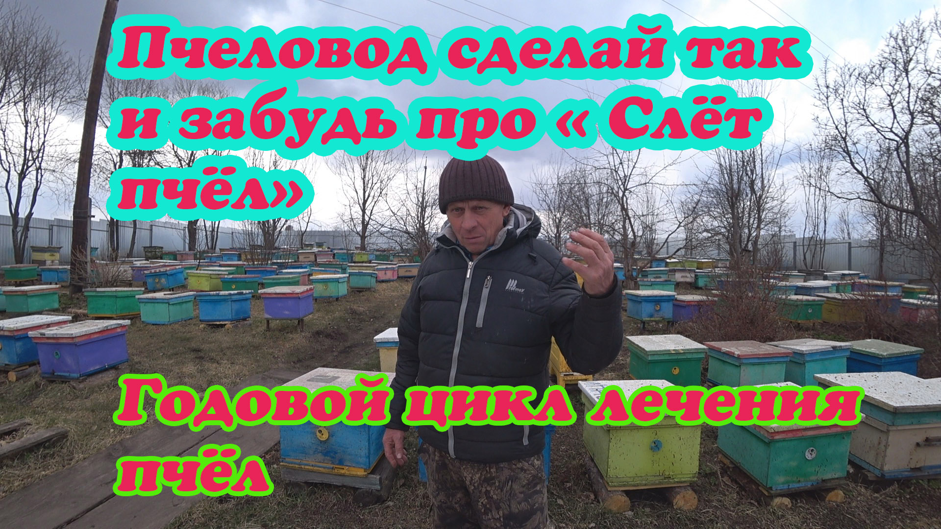 ГОДОВОЙ ЦИКЛ БОРЬБЫ С КЛЕЩЁМ ВАРРОА НА МОЕЙ ПАСЕКЕ, КАК ИЗБАВИТЬСЯ ОТ СЛЁТА ПЧЁЛ. смотреть онлайн