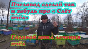 ГОДОВОЙ ЦИКЛ БОРЬБЫ С КЛЕЩЁМ ВАРРОА НА МОЕЙ ПАСЕКЕ, КАК ИЗБАВИТЬСЯ ОТ СЛЁТА ПЧЁЛ.