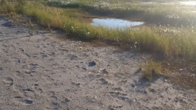 Карьер-купание (трасса Надым-Салехард). 501 стройка (Гулаг). смотреть онлайн