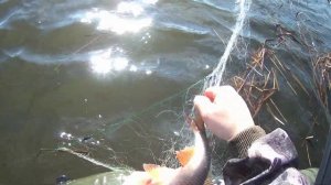 рыбалка на сети весной в разлив день 2-й