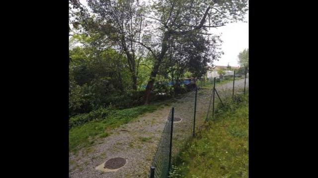 Resistiré 4.0. Desde Castrillo de Don Juan, con vuestras fotos desde la ventana, balcón o terraza смотреть онлайн