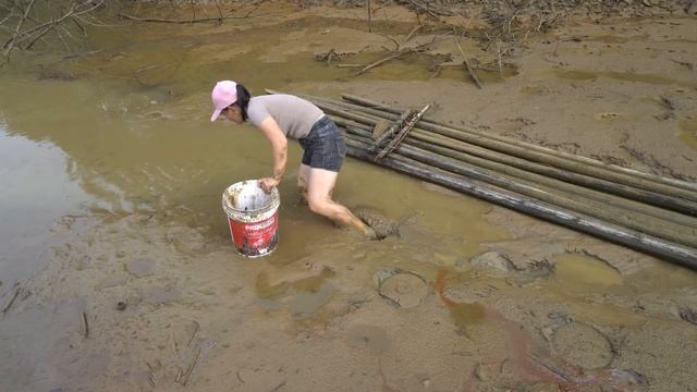 Harvesting Mussels in The Mud - Go To The Market To Sell - Free Bushcraft, Building farm смотреть онлайн