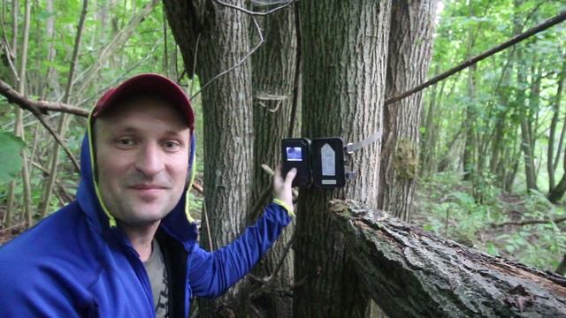 ✅ПОХОД В ЛЕС В ЛОГОВО БАРСУКОВ| ФОТОЛОВУШКА В ЛЕСУ смотреть онлайн