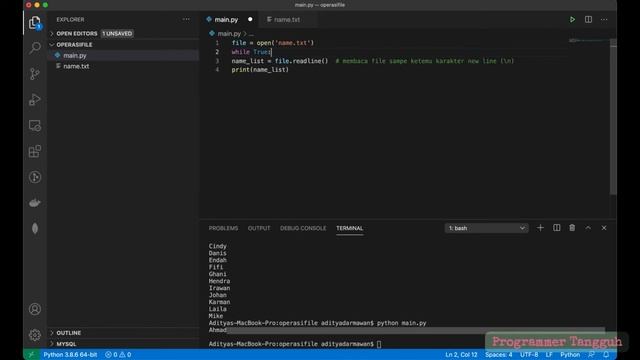 Belajar Pemrograman Python untuk Pemula - 13 bag. 2 Operasi File - Readline(s) смотреть онлайн