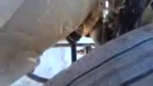 Скрип переднего колеса нива,думал на подшипник,а нет,крестовина. смотреть онлайн