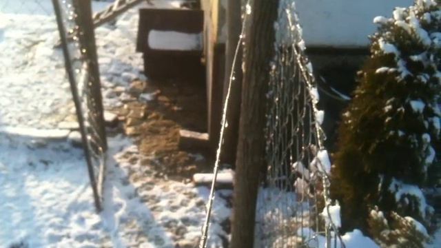 Rea lavez смотреть онлайн