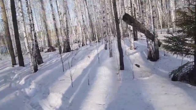 Рефтинское водохранилище. смотреть онлайн