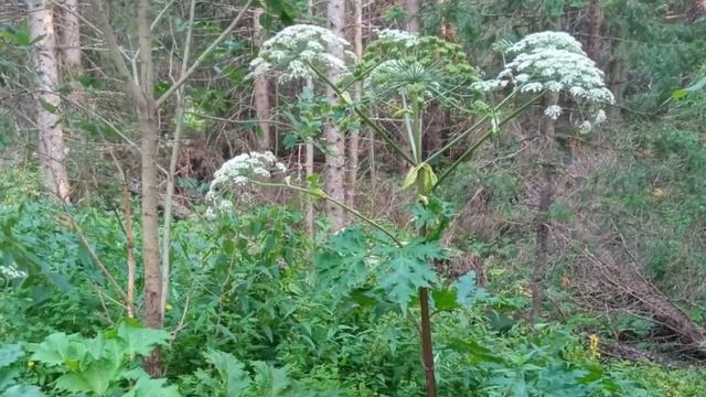 Zyuratkul National Park смотреть онлайн
