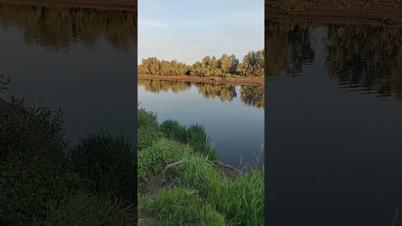 природа, рыбалка смотреть онлайн