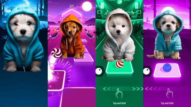 CUTE DOGS WEDNESDAY LADY GAGA BLOODY MARY vs WAKA WAKA vs WELLERMAN vs BONES IMAGINE DRAGONS [11] смотреть онлайн