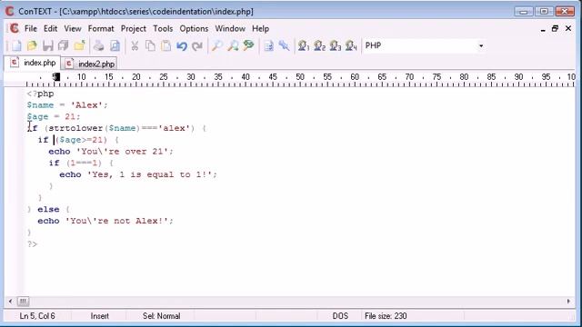 Beginner PHP Tutorial 8 Indentation смотреть онлайн