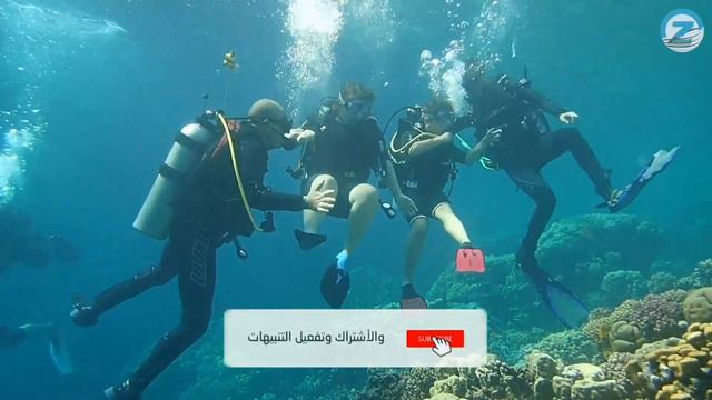 The Beauty Of Nature And Coral Reefs