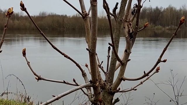 Третий день путешествия по Гороховцу.Какой монастырь отрезала от мира Клязьма.Сретенский монастырь. смотреть онлайн