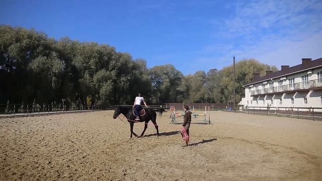 Уроки верховой езды в подарок смотреть онлайн