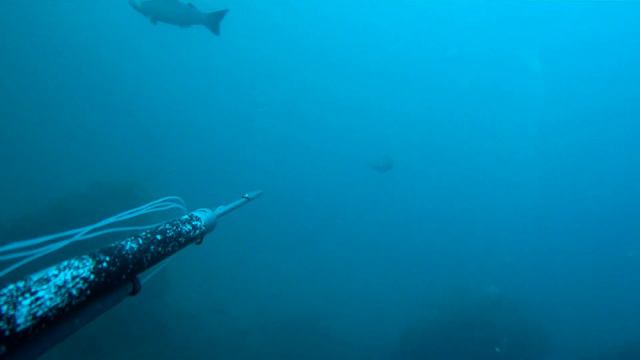 Кефаль.Подводная охота 18.08.2012 RD32II 1080 смотреть онлайн