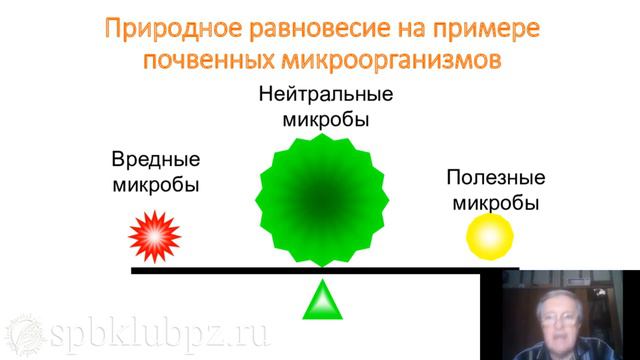 5 ошибок садовода. 4. Ядохимикаты. смотреть онлайн