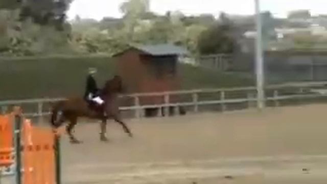 Annabel Waters & Handley barns dessee dee смотреть онлайн
