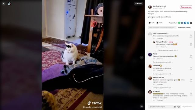 КОТ МЯУКАЕТ И КИВАЕТ ГОЛОВОЙ — ОТКУДА МЕМ? смотреть онлайн