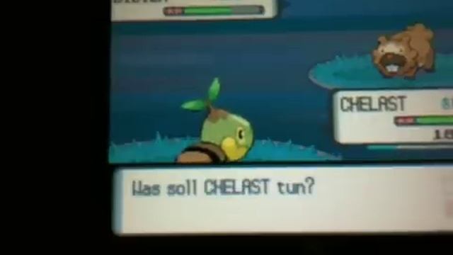 Letsplay Pokemon Perl (Part 1) смотреть онлайн