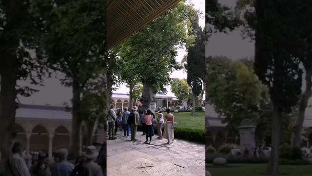 Топкапы. Стамбул. Дворец расположен в месте впадения Босфора и Золотого Рога в Мраморное море. смотреть онлайн