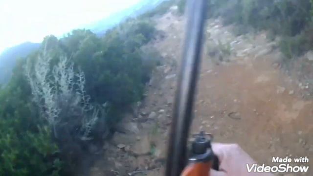 κυνήγι λαγού 16 9 23 μιά καλή αρχή 🐰 смотреть онлайн