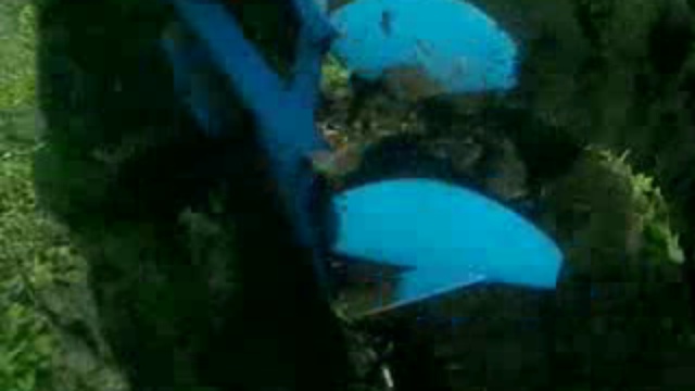 Видео0029 смотреть онлайн