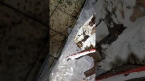 Замена вилки сцепления без снятия кпп