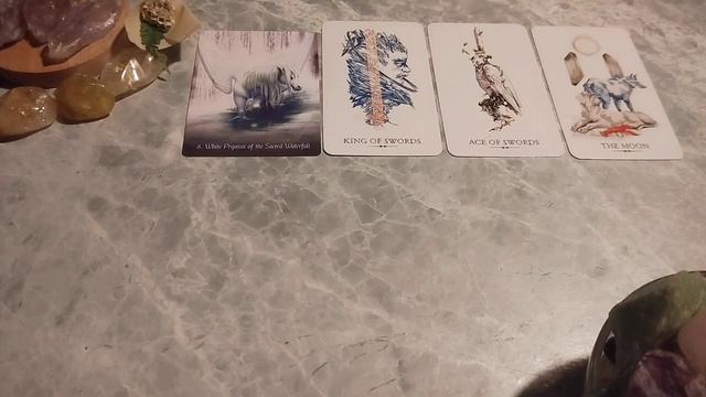 Anugerah di Sisa Tahun 2023 #pilihkartu #tarot #generalreading смотреть онлайн