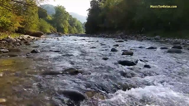 Sounds of Nature, Noise River and Forest Birds singing - 2 hours смотреть онлайн