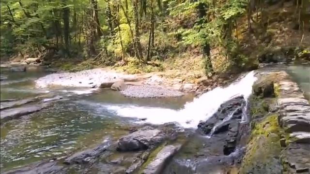 Самшитовые водопады смотреть онлайн