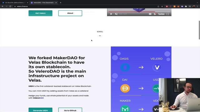 VELERO DAO REVIEW & PRICE PREDICTION смотреть онлайн