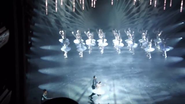Swan Lake (Svanesøen) Final Scene - The Royal Danish Orchestra смотреть онлайн