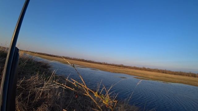 Охота на селезня. Весенняя охота 2022. Duck hunting смотреть онлайн