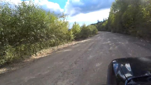 Фаршированные блины. Посылка от Tdekor. Выезд в лес.