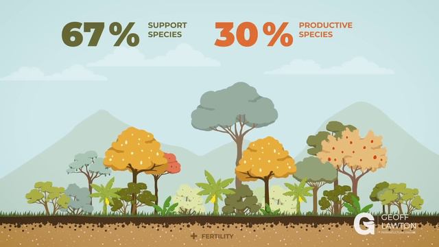 The Forested Garden: What is a Food Forest? смотреть онлайн