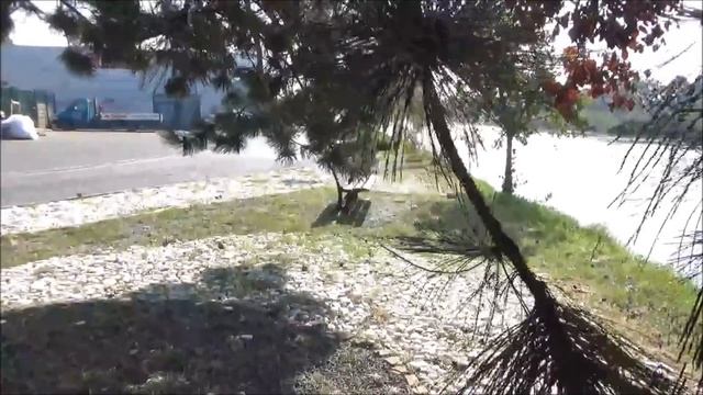 Жизнь во Франции/Больше всего денег уходит на это. Осень в Нормандии. смотреть онлайн