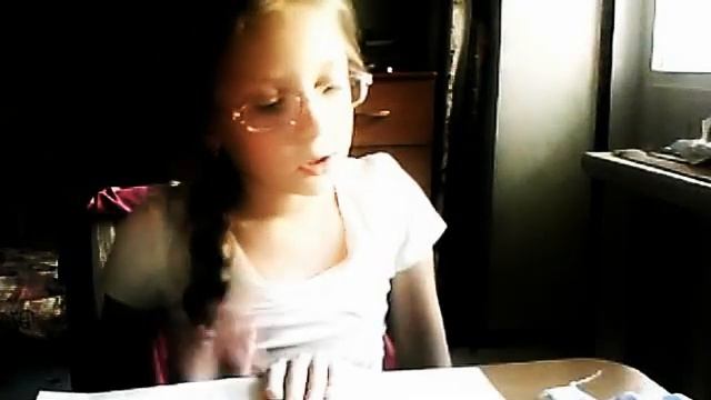 чихуахуа ,той терьер