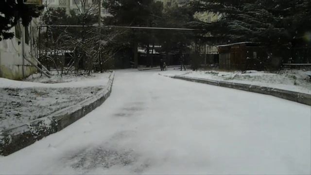 Хаски тянет санки смотреть онлайн