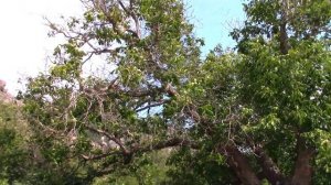 Путешествие на АВТОДОМЕ в Крым! 2021 #1