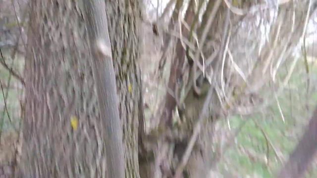 Отстрел со Стрижа 5,5(1) смотреть онлайн