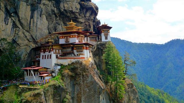 Tony O'Connor. Taurus