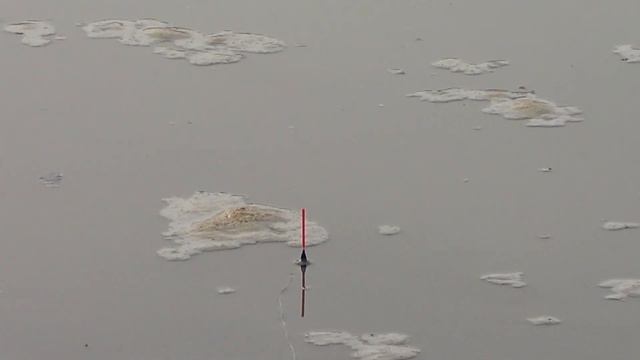 ЛОВИМ ФОРЕЛЬ//РЫБАЛКА НА СВОЕМ ПРУДУ//РЫБАЛКА НА ПОПЛАВОЧНУЮ УДОЧКУ//РЫБАЛКА ВИДЕО//ВЕСЕЛАЯ РЫБАЛКА смотреть онлайн