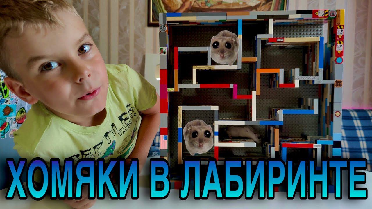 ХОМЯКИ В ЛАБИРИНТЕ ИЗ ЛЕГО смотреть онлайн
