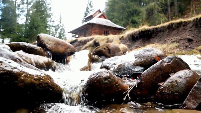 «Их было пятеро, я не могла с ними справиться» Незнакомый грузин силой увез девушку в горы и женилс смотреть онлайн